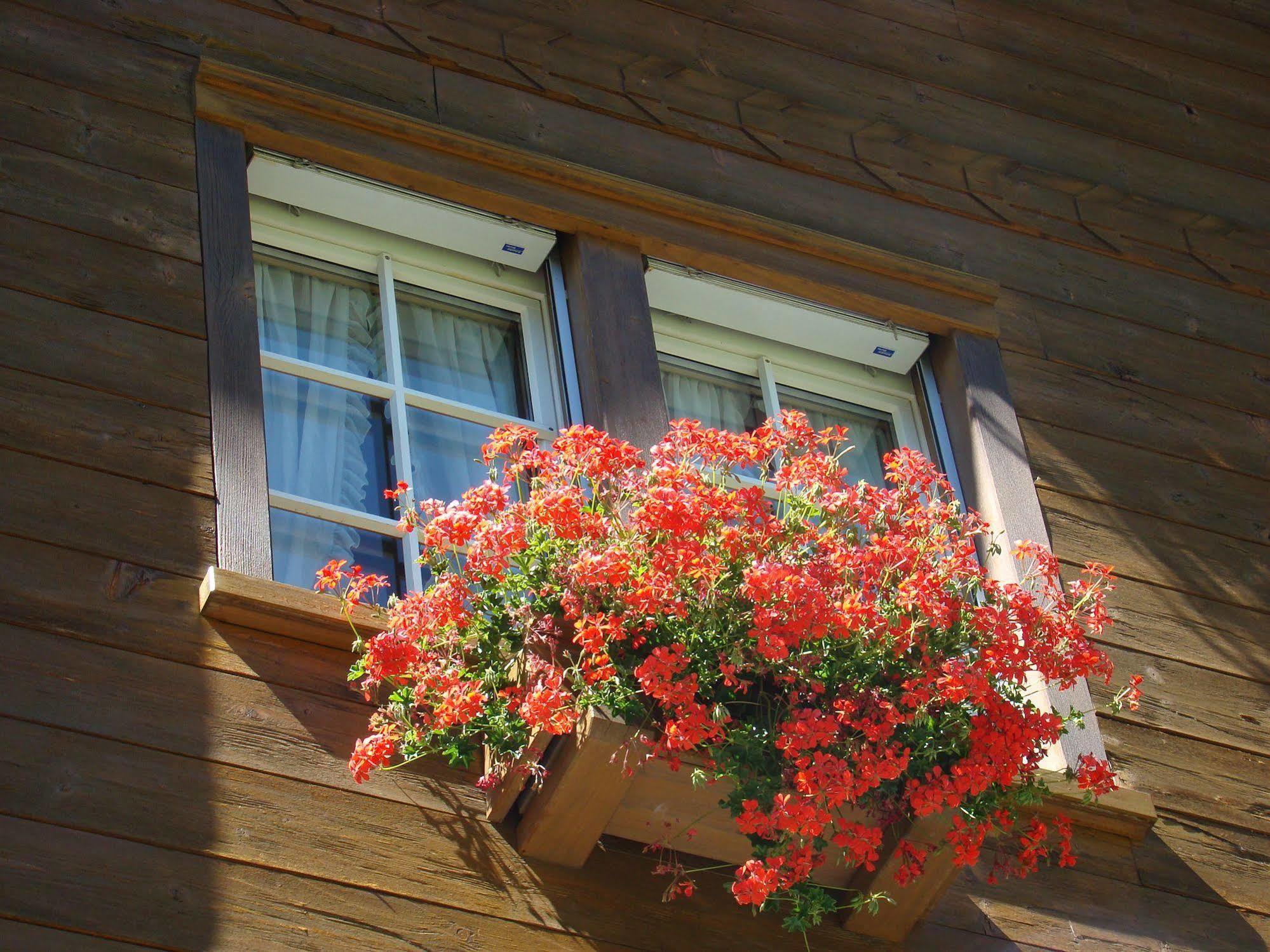 Arcade Apartments & Spa Saas Fee Kültér fotó